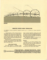 Irrigated winter wheat production