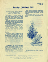 How to buy a Christmas tree
