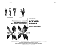 Disease and insect spray program for home gardens: Apples, pears, eastern Washington