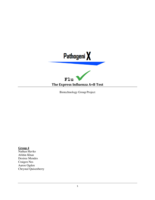 The Express Influenza A+B Test