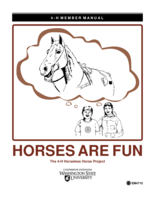 Horses Are Fun: 4-H Horseless Horse Project