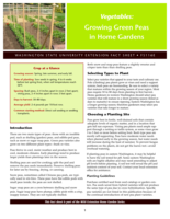 Vegetables: Growing green peas in home gardens