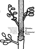 Maladies of ornamental plants