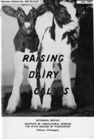 Raising dairy calves