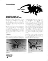 Insect answers: The European crane fly: A lawn and pasture pest