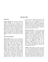 Cranberry Vine, December 2004