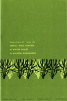 Annual weed control in winter wheat in eastern Washington