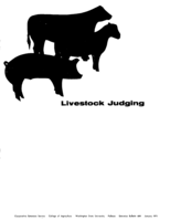 Livestock judging