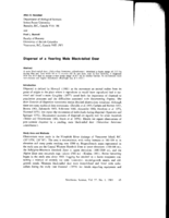 Dispersal of a Yearling Male Black-tailed Deer