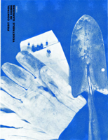 Pest control in home vegetable gardens