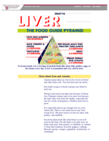 Liver