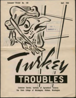 Turkey troubles