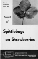 Control of spittlebugs on strawberries