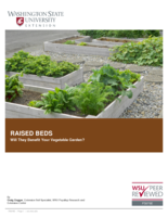 Raised beds : will they benefit your vegetable garden?