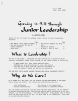 Growing in 4-H through junior-leadership