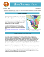 Shore Stewards News, May/June 2013