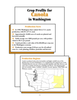 Crop Profile for Canola in Washington