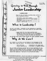 Growing in 4-H through junior-leadership