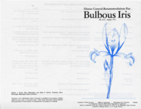 Disease control recommendations for Bulbous Iris