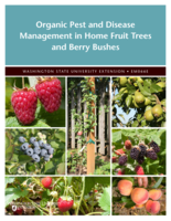 Organic pest and disease management in home fruit trees and berry bushes