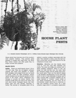 House plant pests