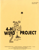 4-H weed project 2