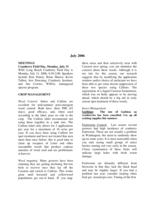 Cranberry Vine, July 2006