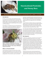 Neonicotinoid pesticides and honey bees