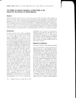 The Origin of Lamium hybridum, A Case Study in the Search for the Parents of Hybrid Species