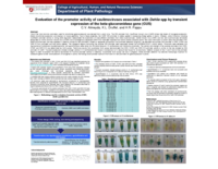 Evaluation of the promoter activity of caulimoviruses associated with Dahlia spp by transient expression of the beta-glucoronidase gene (GUS)