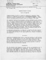 Lungworm disease of cattle: Cause and symptoms