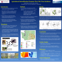 Agricultural intensification promotes West Nile virus incidence