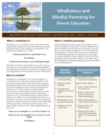 Mindfulness and mindful parenting for parent educators
