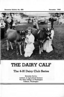 The dairy calf