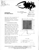 Insect answers: Detection of pear psylla