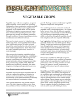 Vegetable crops