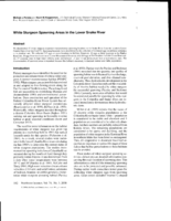 White sturgeon spawning areas in the Lower Snake River