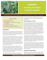 Vegetables: Growing dry beans in home gardens