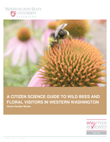 A citizen science guide to wild bees and floral visitors in Western Washington
