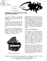 Insect answers: Trapping alfalfa leafcutter bees for fun and profit