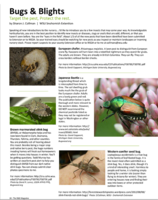 Bugs and Blights, November 2015
