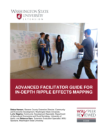 Advanced facilitator guide for in-depth ripple effects mapping