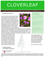 Cloverleaf, February 2013