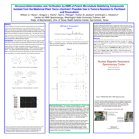 Structure determination and verification by NMR of potent microtubule stabilizing compounds isolated from the medicinal plant tacca chantrieri.  Possible use in tumors resistant to paclitaxel and doxorubicin.