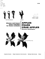 Disease and insect spray program for home gardens: Apples, pears, crab apples: Western Washington