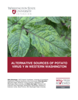 Alternative sources of Potato virus Y in Western Washington