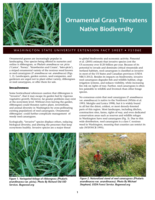 Ornamental grass threatens native biodiversity