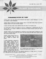 Plant diseases: Fusarium patch of turf