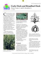 Curlyleaf and Broadleaf Dock