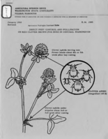Insect pest control and pollination on red clover grown for seed in central Washington
